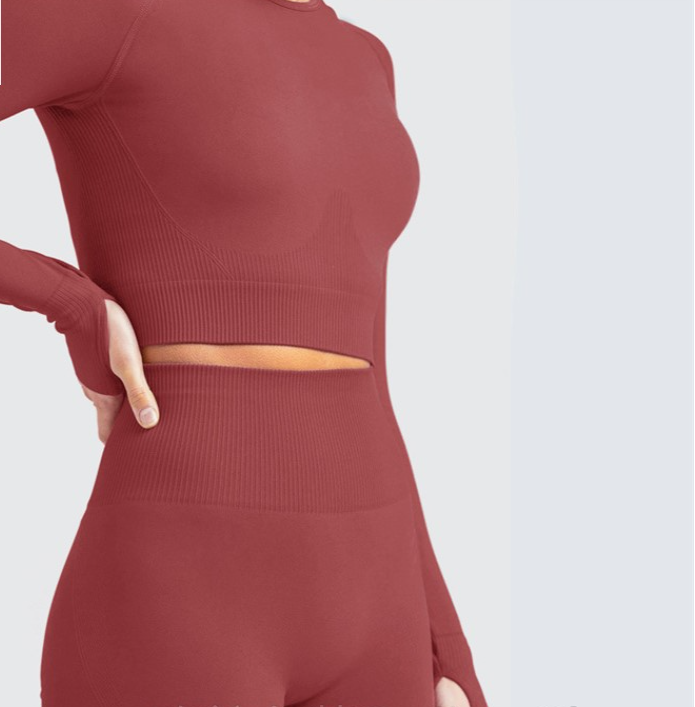 Seamless Long Sleeve Yoga Suit