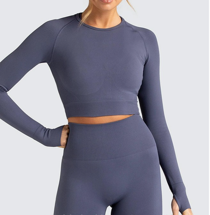 Seamless Long Sleeve Yoga Suit