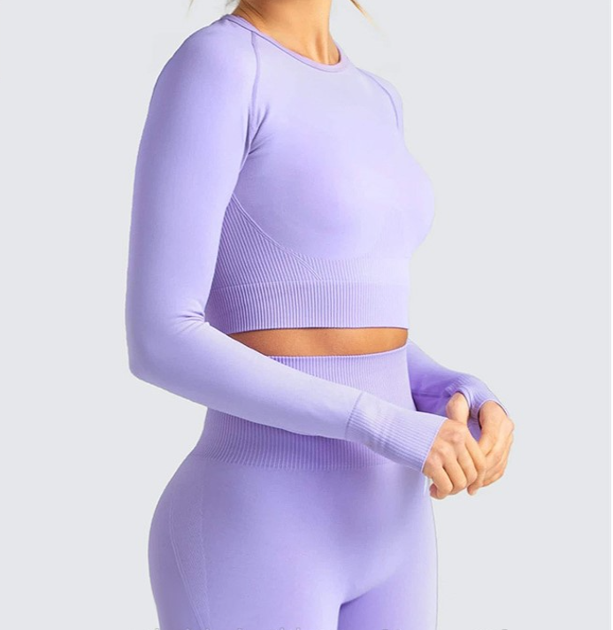 Seamless Long Sleeve Yoga Suit