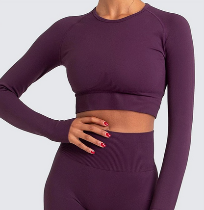 Seamless Long Sleeve Yoga Suit